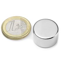 Disque magnétique Ø 20 mm, hauteur 12 mm