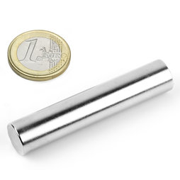 S-12-60-N, Cilindro magnetico Ø 12 mm, altezza 60 mm, neodimio, N38, nichelato