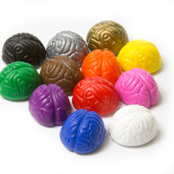 LIV-110, Crazy Brain, koelkastmagneten in hersenvorm, kleurig geassorteerd, set van 12