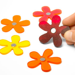 AG-03, Summer Flowers, bloemenmagneten in zomerkleuren, set van 5