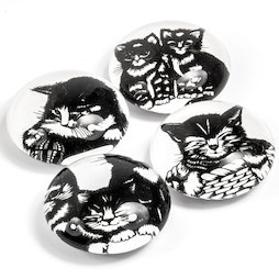 LIV-139, Gattini, magneti decorativi con motivi di gatto, set da 4