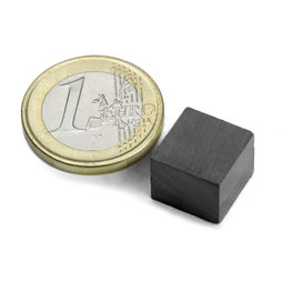 Blokmagneet 12 x 12 x 10 mm