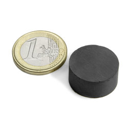 Scheibenmagnet Ø 20 mm, Höhe 10 mm