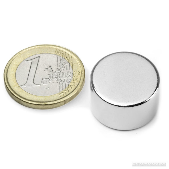 Scheibenmagnet Ø 20 mm, Höhe 12 mm