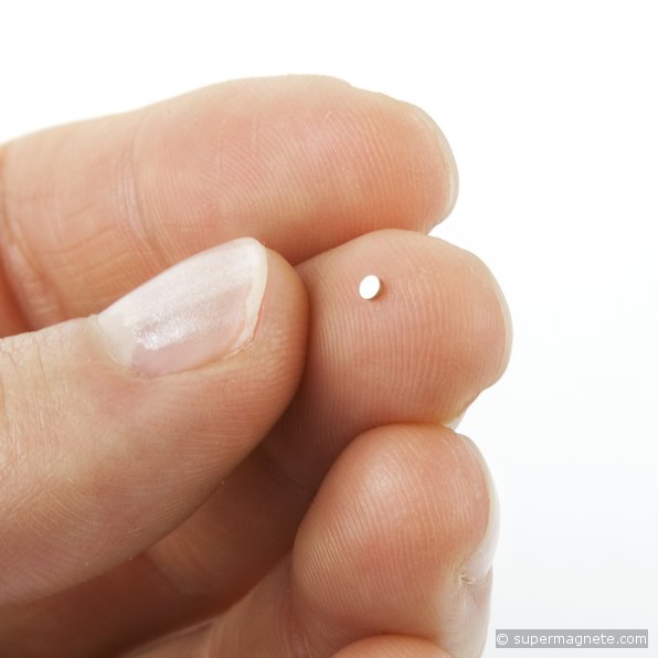 Schijfmagneet Ø 1,5 mm, hoogte 0,5 mm